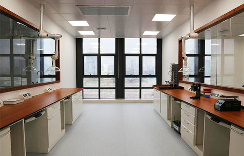 ��ש�벣������