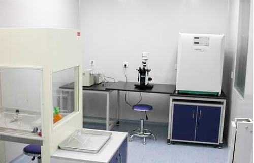 �����徲ʵ���ҽ���