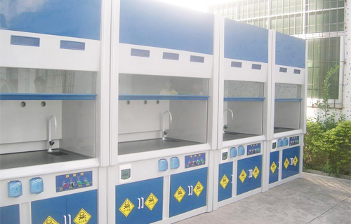 ������͸���