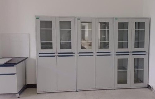 ��ľҩƷ�����